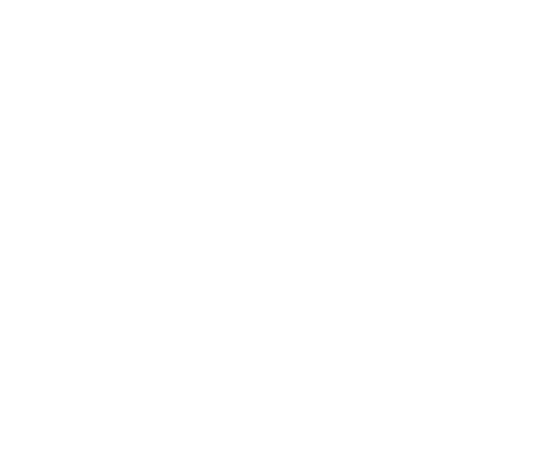 Wisell